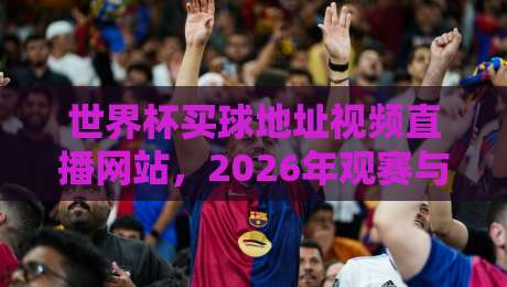 世界杯买球地址视频直播网站,2026年观赛与投注的终极指南