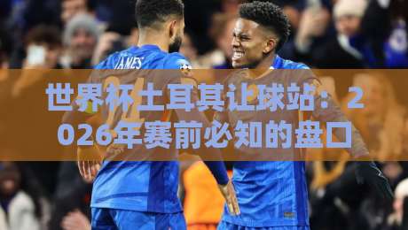 世界杯土耳其让球站：2026年赛前必知的盘口暗线与热盘指南