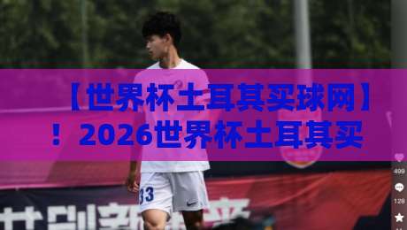 【世界杯土耳其买球网】！2026世界杯土耳其买球网指南：从新手到老手的实战经验