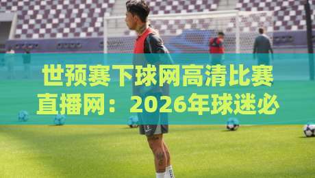世预赛下球网高清比赛直播网:2026年球迷必收的观赛攻略与冷门技巧