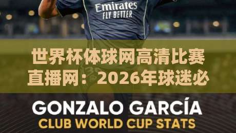 世界杯体球网高清比赛直播网:2026年球迷必备的观赛新体验 世界杯体球网高清比赛直播网:2026年球迷必备的观赛新体验