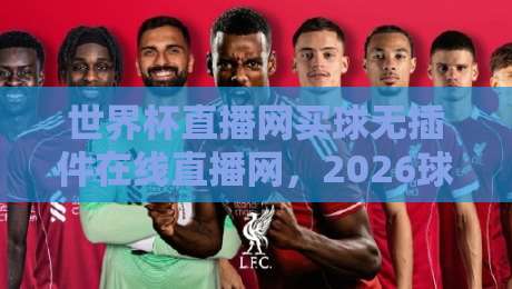 世界杯直播网买球无插件在线直播网，2026球迷的终极观赛指南