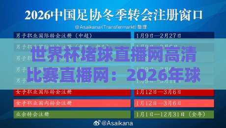 世界杯堵球直播网高清比赛直播网:2026年球迷必备的四大观赛利器