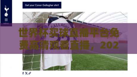世界杯买球直播平台免费高清观看直播,2026年球迷必看指南 世界杯买球直播平台免费高清观看直播,2026年球迷必看指南