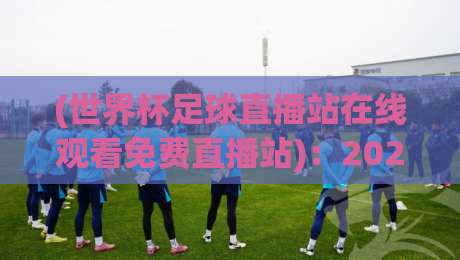 (世界杯足球直播站在线观看免费直播站):2026年观赛新姿势,老球迷连夜收藏