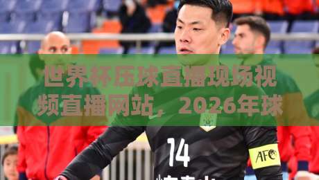 世界杯压球直播现场视频直播网站,2026年球迷必看的高清平台推荐
