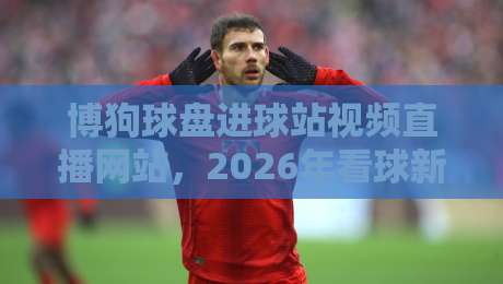 博狗球盘进球站视频直播网站,2026年看球新选择?