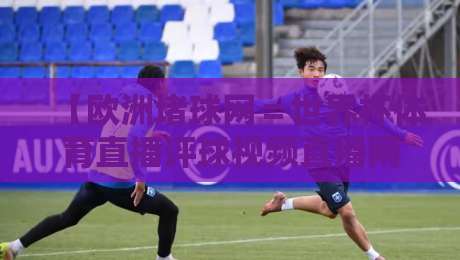 【欧洲堵球网＝世界杯体育直播评球视频直播网站】！2026年世界杯观赛新选择深度评测