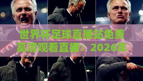 世界杯足球直播站免费高清观看直播:2026年最全观赛指南与实测推荐