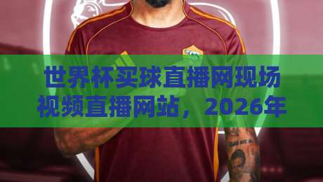 世界杯买球直播网现场视频直播网站，2026年合法观赛渠道全解析