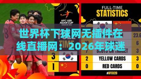 世界杯下球网无插件在线直播网:2026年球迷必知的观赛法宝