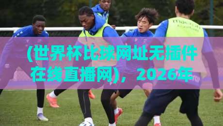 (世界杯比球网址无插件在线直播网),2026年这样看球才过瘾!