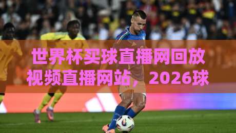 世界杯买球直播网回放视频直播网站,2026球迷必藏的观赛攻略