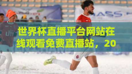 世界杯直播平台网站在线观看免费直播站,2026年这些免费平台让你高清直击每场赛事