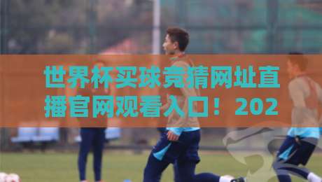 世界杯买球竞猜网址直播官网观看入口!2026年观赛逛遍全平台