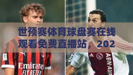 世预赛体育球盘赛在线观看免费直播站,2026年球迷必备观赛指南!