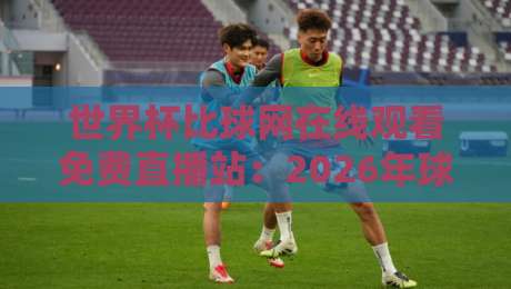 世界杯比球网在线观看免费直播站:2026年球迷的观赛新选择!