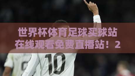 世界杯体育足球买球站在线观看免费直播站!2026年全球球迷都在这找渠道,你还在犹豫啥?