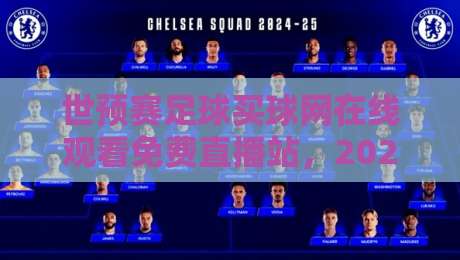 世预赛足球买球网在线观看免费直播站,2026年球迷必备指南