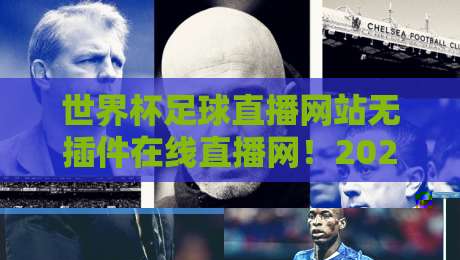 世界杯足球直播网站无插件在线直播网!2026年球迷必备的宝藏观赛指南