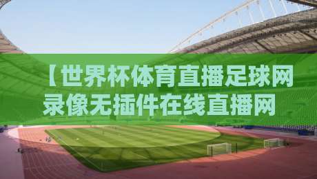 【世界杯体育直播足球网录像无插件在线直播网】——2026年球迷看球，告别卡顿与广告！