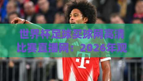 世界杯足球买球网高清比赛直播网:2026年观赛全攻略!(世界杯足球买球网高清比赛直播网)