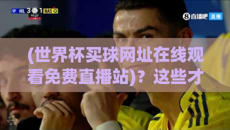 (世界杯买球网址在线观看免费直播站)?这些才是2026年官方免费看球渠道!