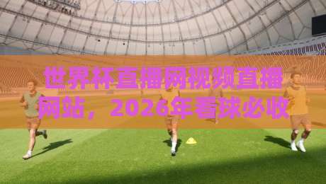 世界杯直播网视频直播网站,2026年看球必收藏的5个观赛渠道!
