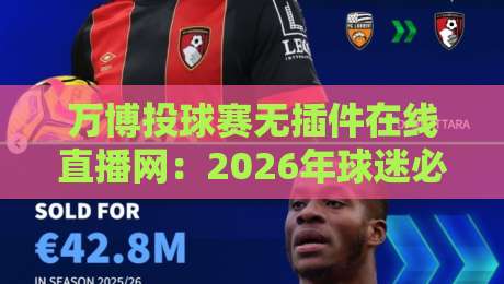 万博投球赛无插件在线直播网:2026年球迷必看的免费高清观赛指南