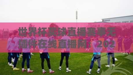 世界杯买球直播赛事无插件在线直播网:2026年球迷必看的高清观赛指南