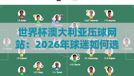 世界杯澳大利亚压球网站：2026年球迷如何选对平台？