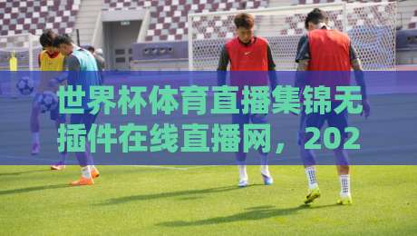 世界杯体育直播集锦无插件在线直播网,2026年球迷必备观赛指南