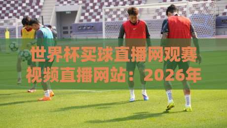 世界杯买球直播网观赛视频直播网站:2026年球迷必备的高清观赛指南