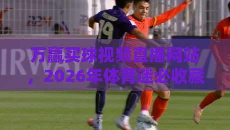 万赢买球视频直播网站,2026年体育迷必收藏的观赛神器