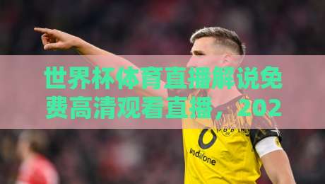 世界杯体育直播解说免费高清观看直播，2026年球迷必知的5个观赛秘诀