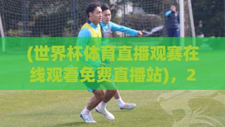 (世界杯体育直播观赛在线观看免费直播站)，2026年球迷必收藏的五大观赛渠道与避坑指南
