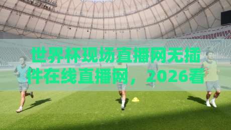 世界杯现场直播网无插件在线直播网,2026看球到底该怎么选?