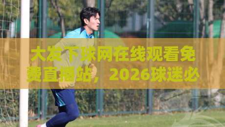 大发下球网在线观看免费直播站,2026球迷必收的观赛心得!