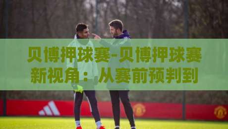 贝博押球赛-贝博押球赛新视角：从赛前预判到临场节奏，贝博押球赛的进阶思路-今日最新外围押球站受让视频半全场动画水位精彩片段