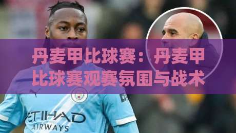 丹麦甲比球赛：丹麦甲比球赛观赛氛围与战术看点【丹麦甲比球赛】带你读懂北欧次级联赛的独特魅力-今日最新外围博球网JRS大小球预测免安装走势频道