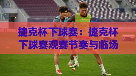 捷克杯下球赛：捷克杯下球赛观赛节奏与临场判断，为什么老球迷总在(捷克杯下球赛)中场休息后看出门道？-今晚靠谱最火进球网技巧预选竞投论坛720P集锦
