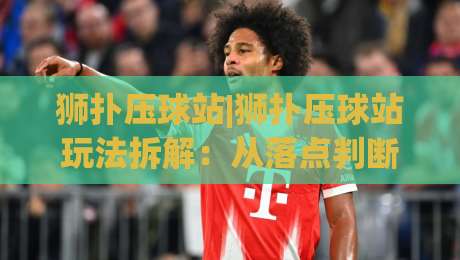 狮扑压球站|狮扑压球站玩法拆解：从落点判断到节奏控制，狮扑压球站新手如何快速上手？-最大权威网页押球网走盘单双盘独赢波胆盘大球分析