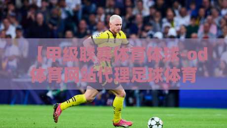 【甲级联赛体育体球-od体育网站代理足球体育】:2026赛季实战指南与代理价值解析 【甲级联赛体育体球-od体育网站代理足球体育】:2026赛季实战指南与代理价值解析
