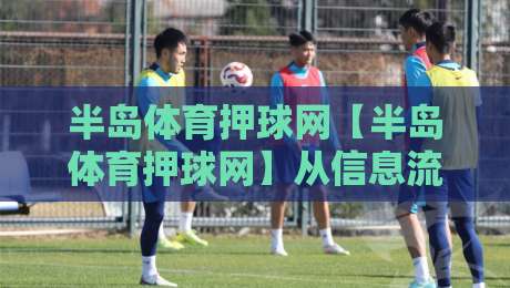 半岛体育押球网【半岛体育押球网】从信息流到决策链：2026年体育互动平台的内容组织逻辑-今日最新外围比球网预测免安装走势频道英文解说反波胆