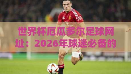 世界杯厄瓜多尔足球网址：2026年球迷必备的官方渠道与实用指南