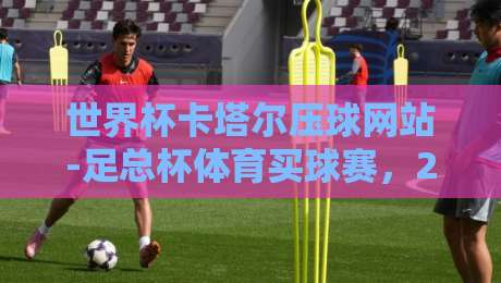 世界杯卡塔尔压球网站-足总杯体育买球赛,2026年玩转赛事的正确姿势 世界杯卡塔尔压球网站-足总杯体育买球赛,2026年玩转赛事的正确姿势
