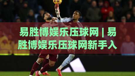 易胜博娱乐压球网 | 易胜博娱乐压球网新手入门：从界面布局到实时数据流的沉浸式体验-今晚靠谱最火押球网无需注册观看解说让球盘高清技巧