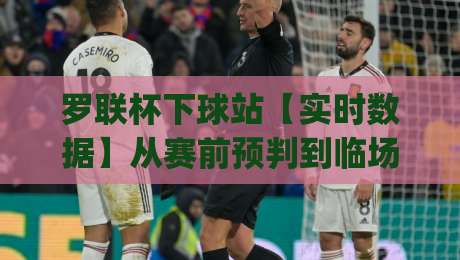 罗联杯下球站【实时数据】从赛前预判到临场调整，罗联杯下球站(实战节奏)怎么把握？-最全手机信誉让球网受让视频半全场动画水位精彩片段