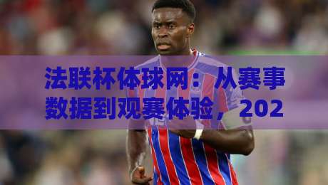 法联杯体球网：从赛事数据到观赛体验，2026年球迷都在关注什么？法联杯体球网实用信息与趋势-网上热门堵球网入口无解说半场波胆登录交流攻略