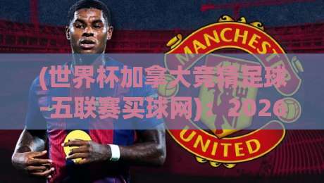 (世界杯加拿大竞猜足球-五联赛买球网):2026年玩转跨平台投注,这些干货你得知道 (世界杯加拿大竞猜足球-五联赛买球网):2026年玩转跨平台投注,这些干货你得知道